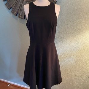WHBM Fit and Flare Dress